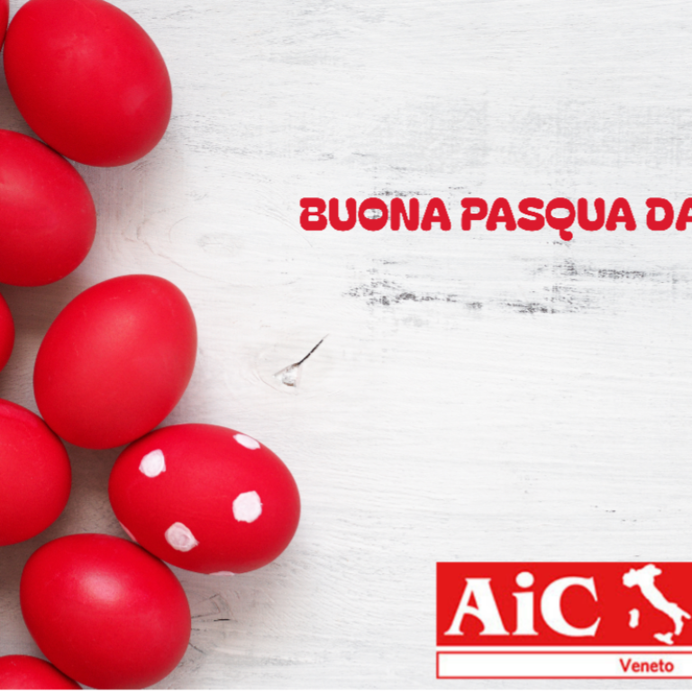 Auguri buona pasqua