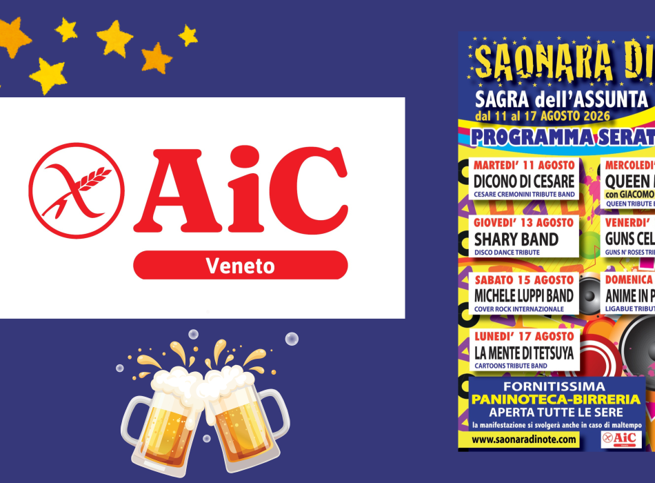 Banner Saonara 2026